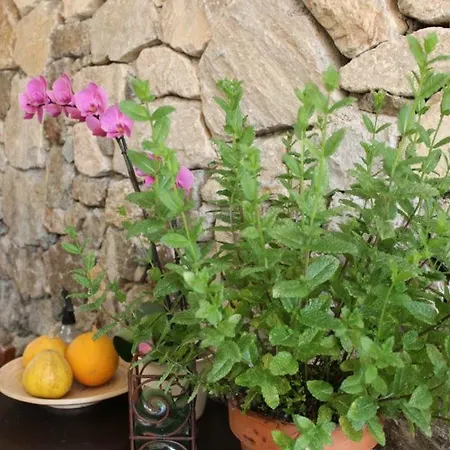 Casale Coreallo 4* Spotorno