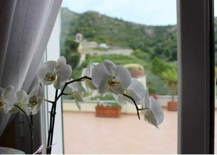 Casale Coreallo Nocleg ze śniadaniem 4*