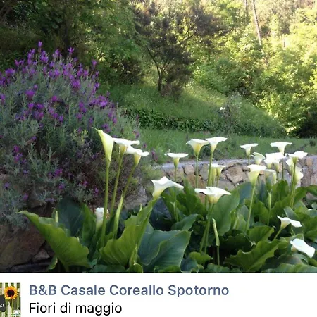 Casale Coreallo 4* Spotorno