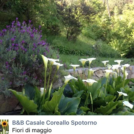 Casale Coreallo 2* Spotorno