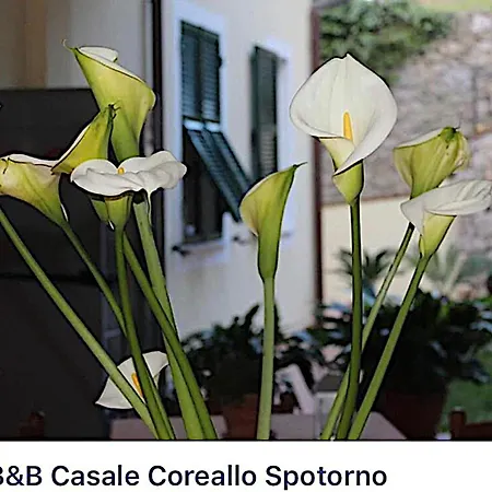 Casale Coreallo Bed & Breakfast Spotorno