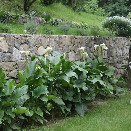 Casale Coreallo Bed & Breakfast 2*