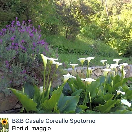 Casale Coreallo Spotorno