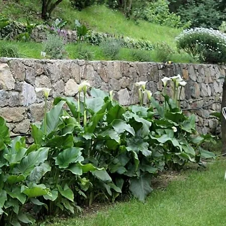 Bed & Breakfast Casale Coreallo 4*