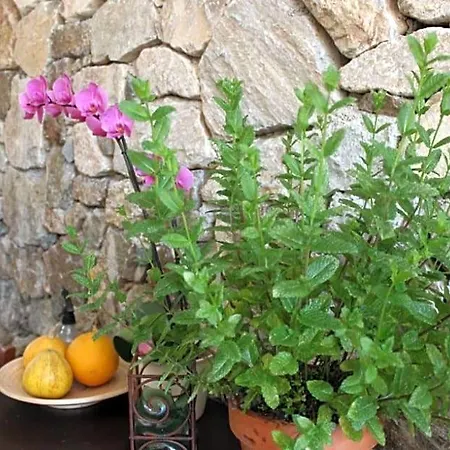 Casale Coreallo Bed & Breakfast 4*