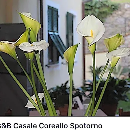 Casale Coreallo