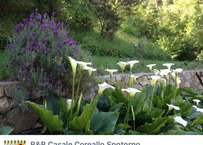 Casale Coreallo 4* Spotorno