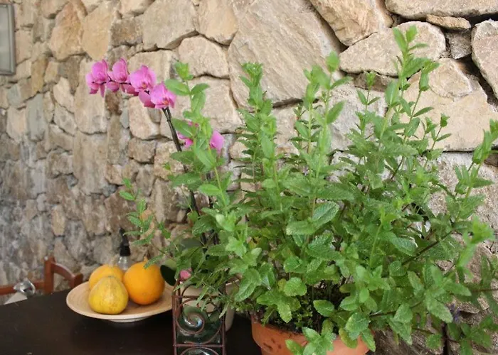 Casale Coreallo 4* Spotorno